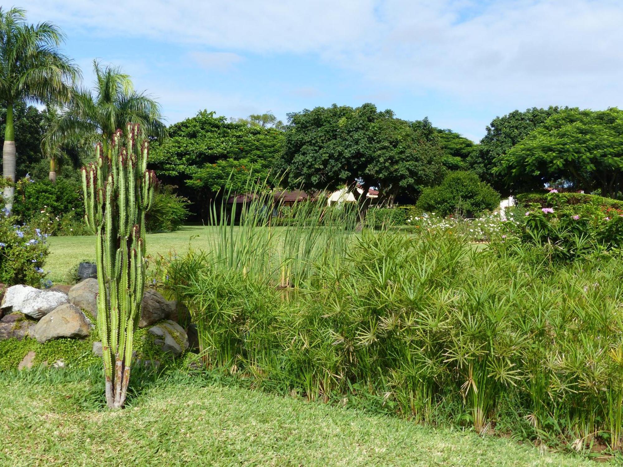 Ancha's Oasis Maputo Exterior foto